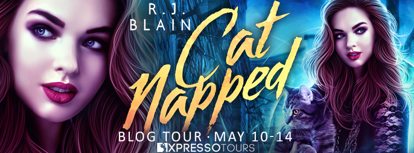 Catnapped Tour Banner