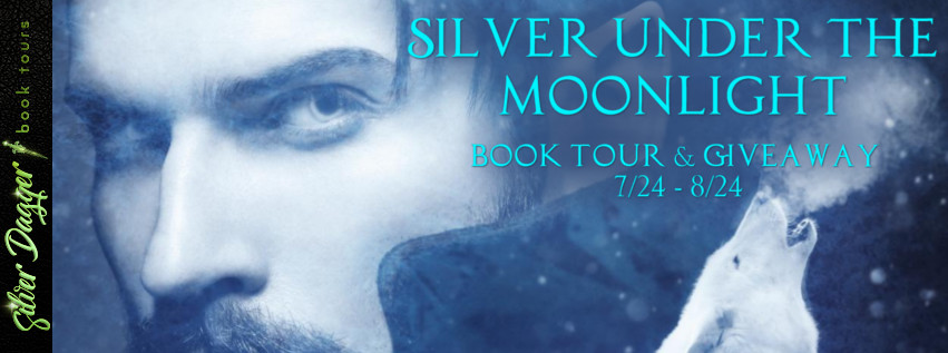 silver under the moonlight banner