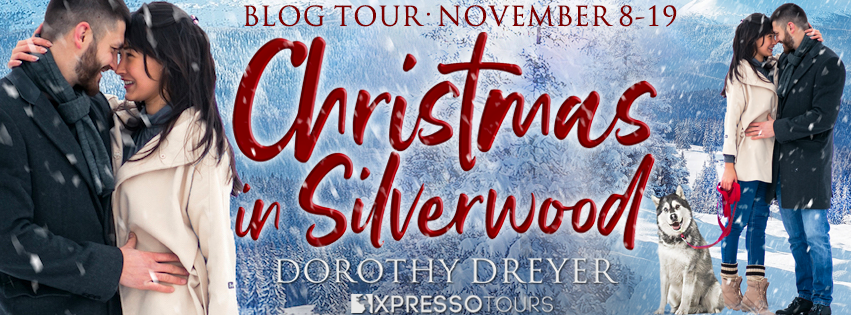 Christmas In Silverwood Tour Banner