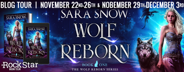 wolf reborn tour banner