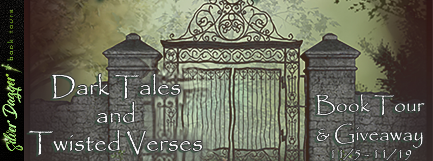 dark tales and twisted verses banner
