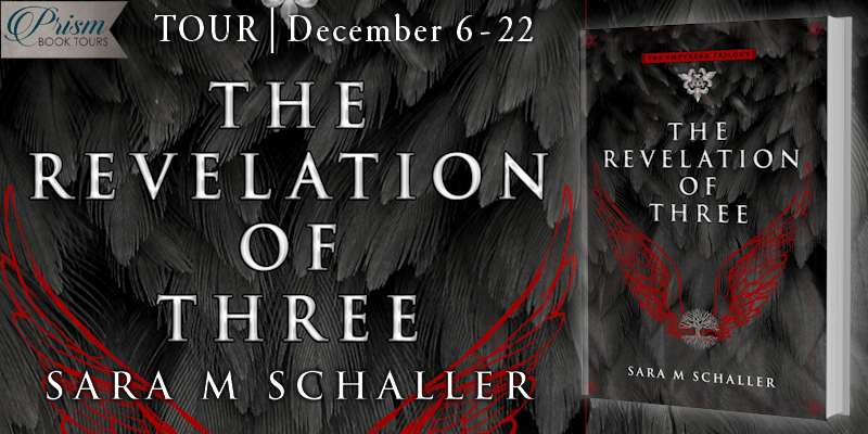 Banner - The Revelation of Three