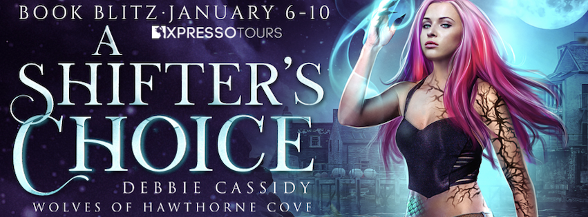 a shifters choice banner