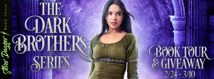 the dark brothers series banner