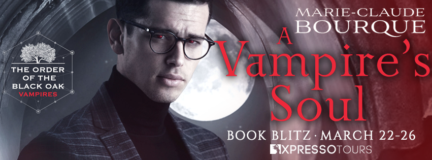 A Vampires Soul Blitz Banner-1