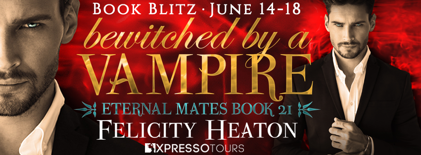 Bewitched By A Vampire Blitz Banner
