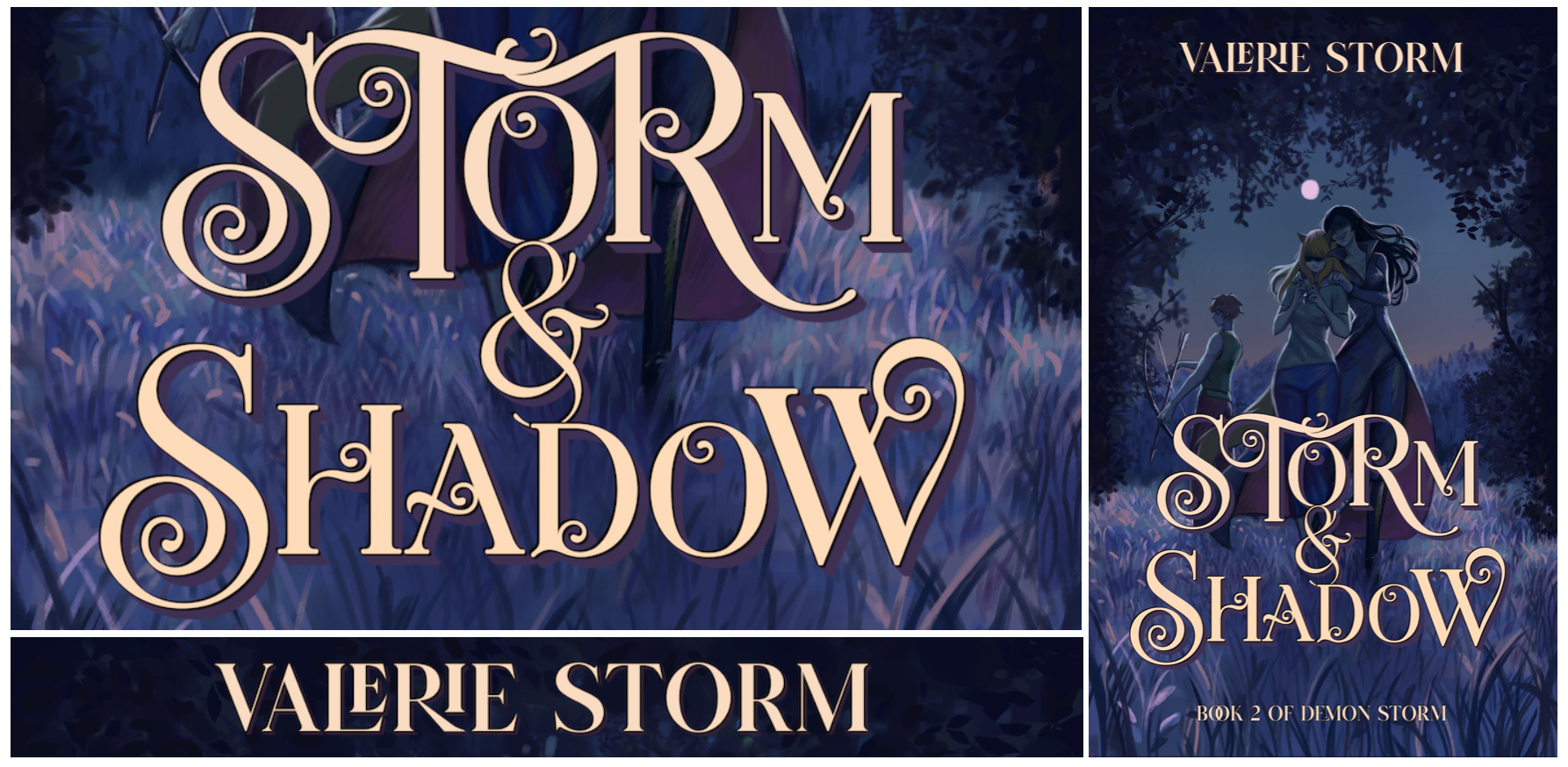 Storm and Shadow