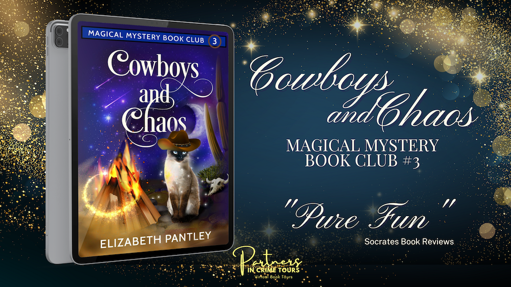 cowboys-and-chaos-by-elizabeth-pantley--banner-